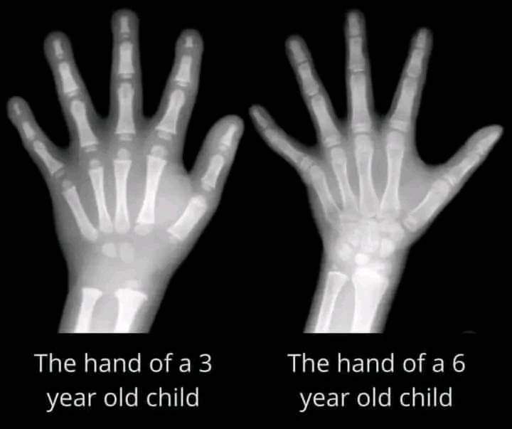Thoughts - Parents of toddlers...Those little hands are still ...