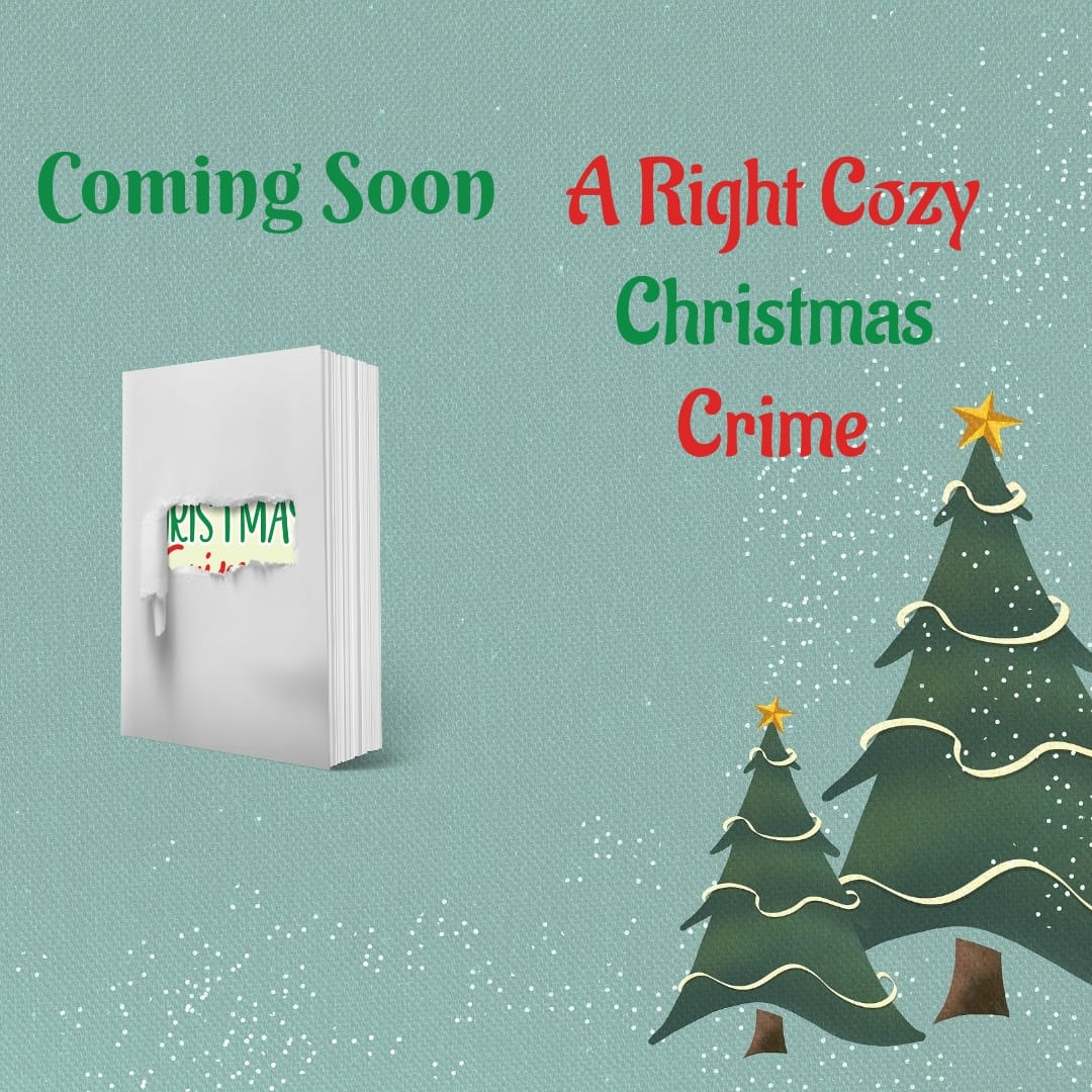 T L Swan's Christmas 2024 short story collection