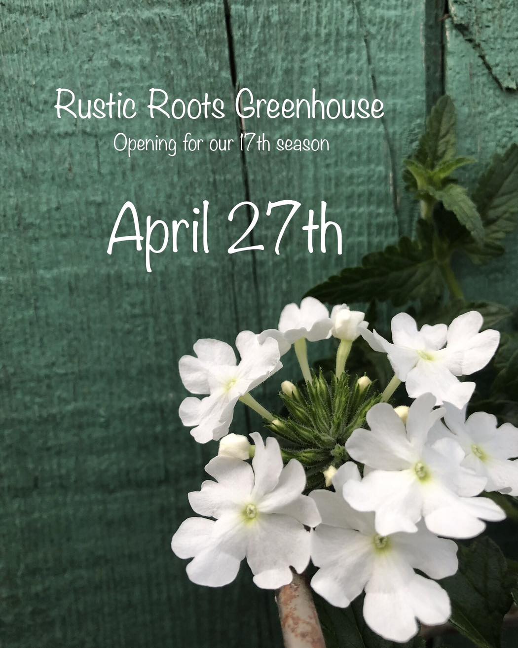 Rustic Roots Greenhouse | La Crete AB
