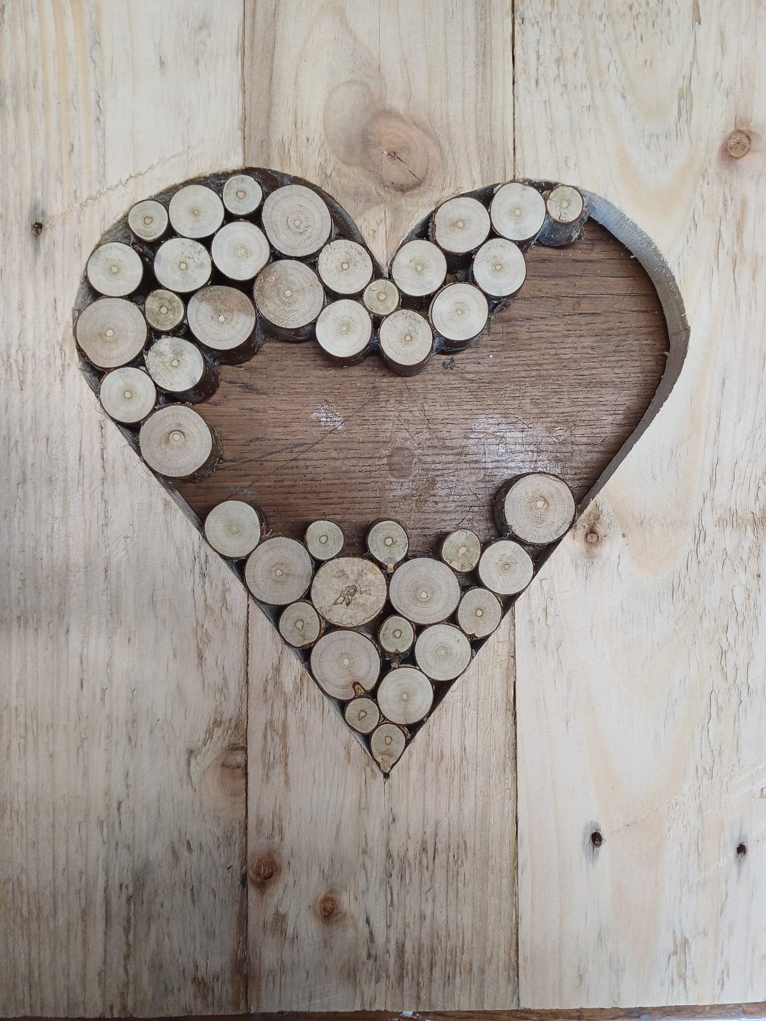 This is a final project... - Wild Earth Creative Education