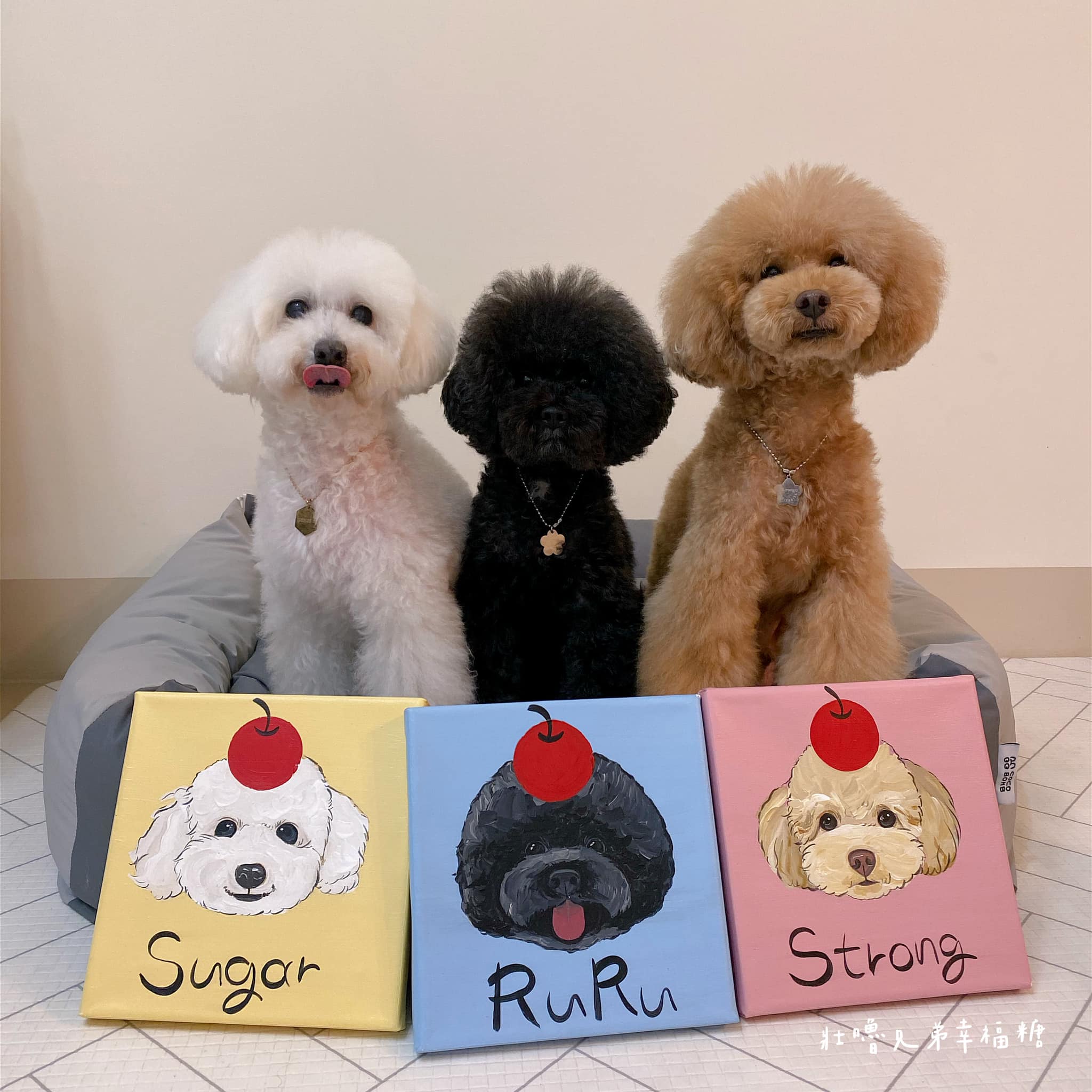 這次搜集到馬麻喜歡的肖像畫作品了！... - 壯嚕兄弟幸福糖【3 color ToyPoodle's Happy Life】 | Facebook