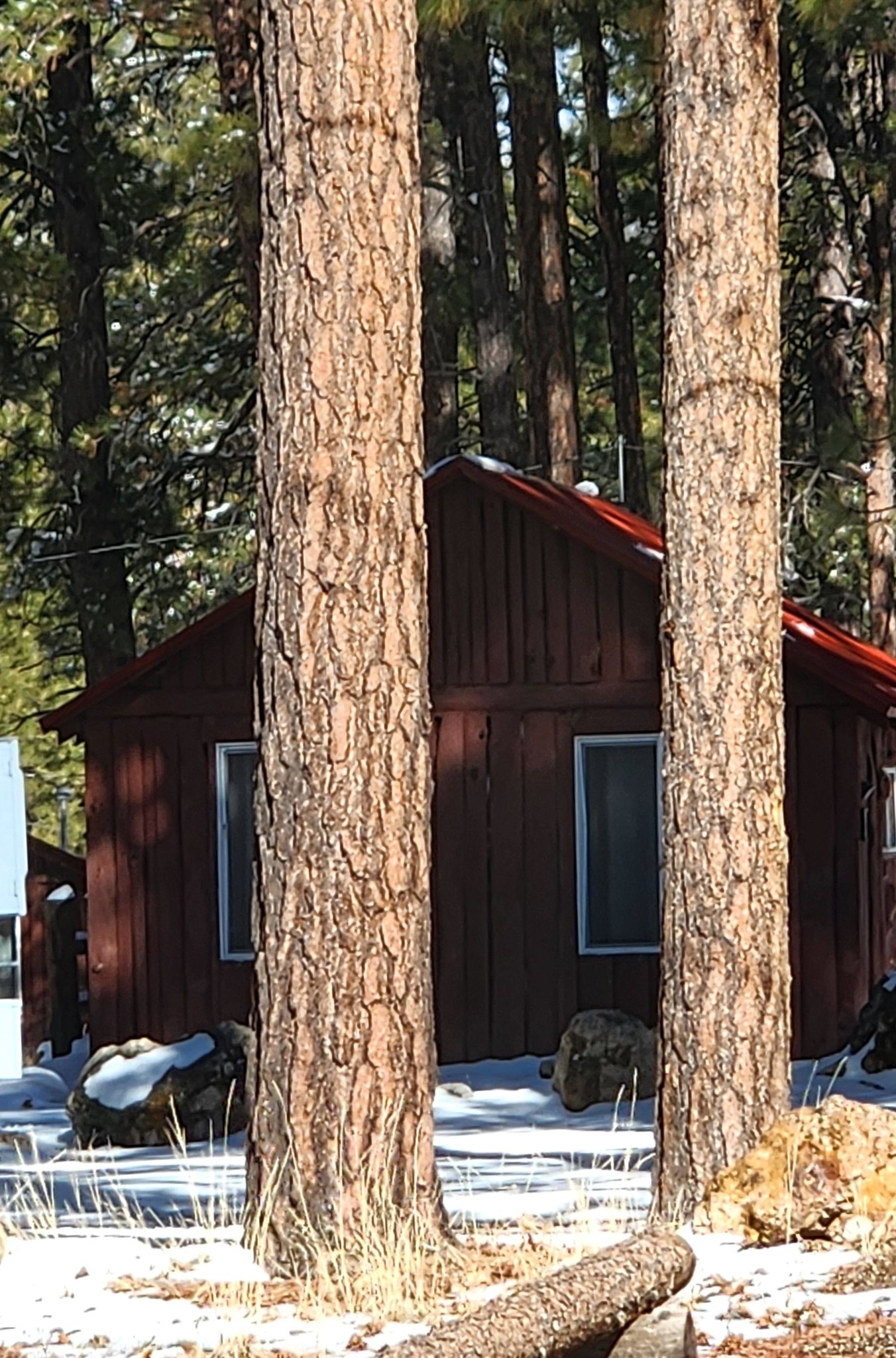 The view from my window | Jacob Lake Inn and Cabins at the North Rim of ...