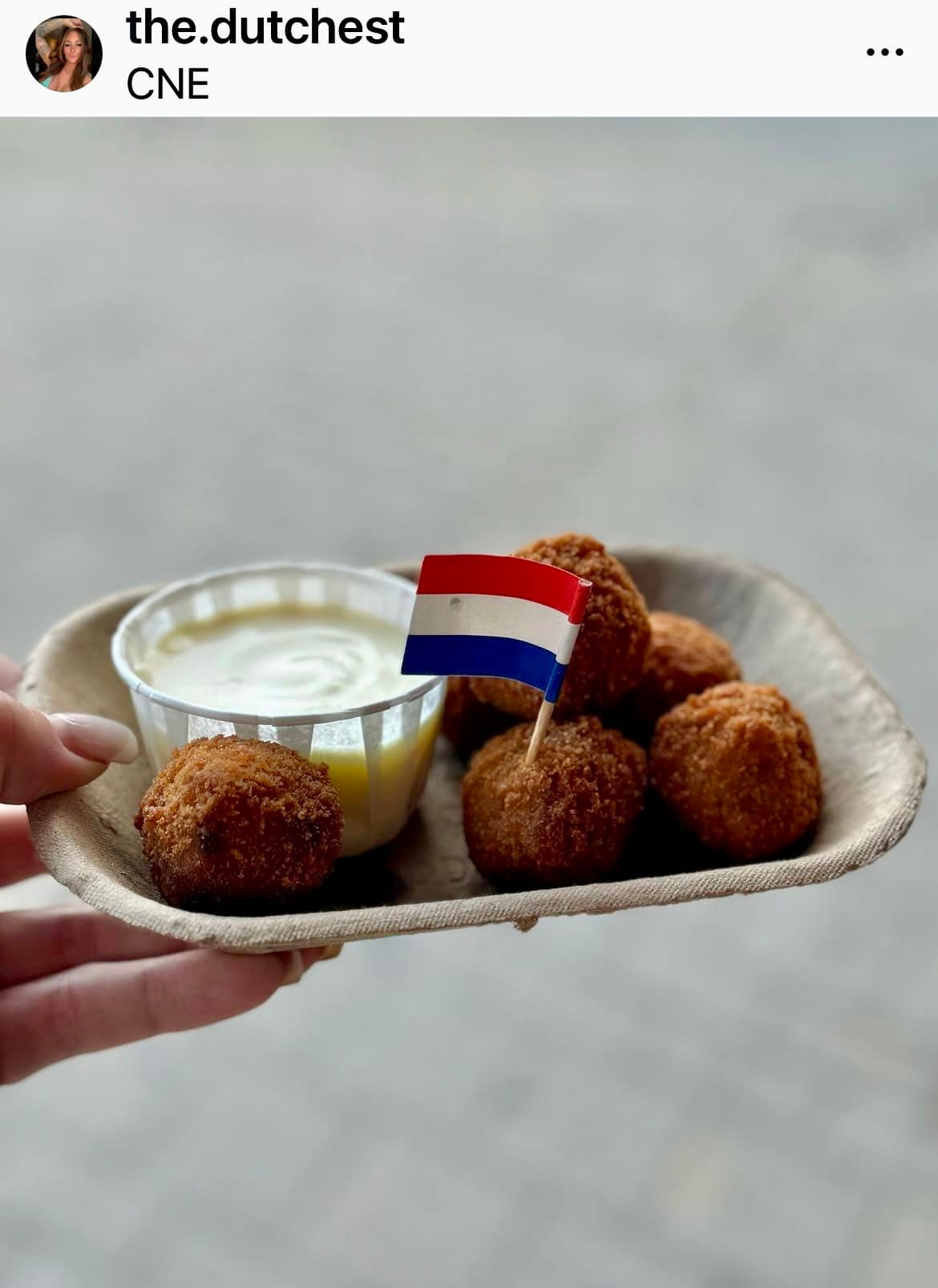 Dutch Frites | Toronto ON