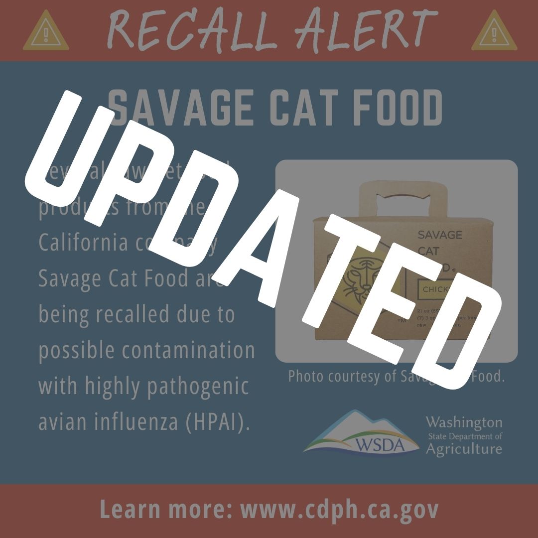 What Cat Food is Being Recalled: Essential Updates