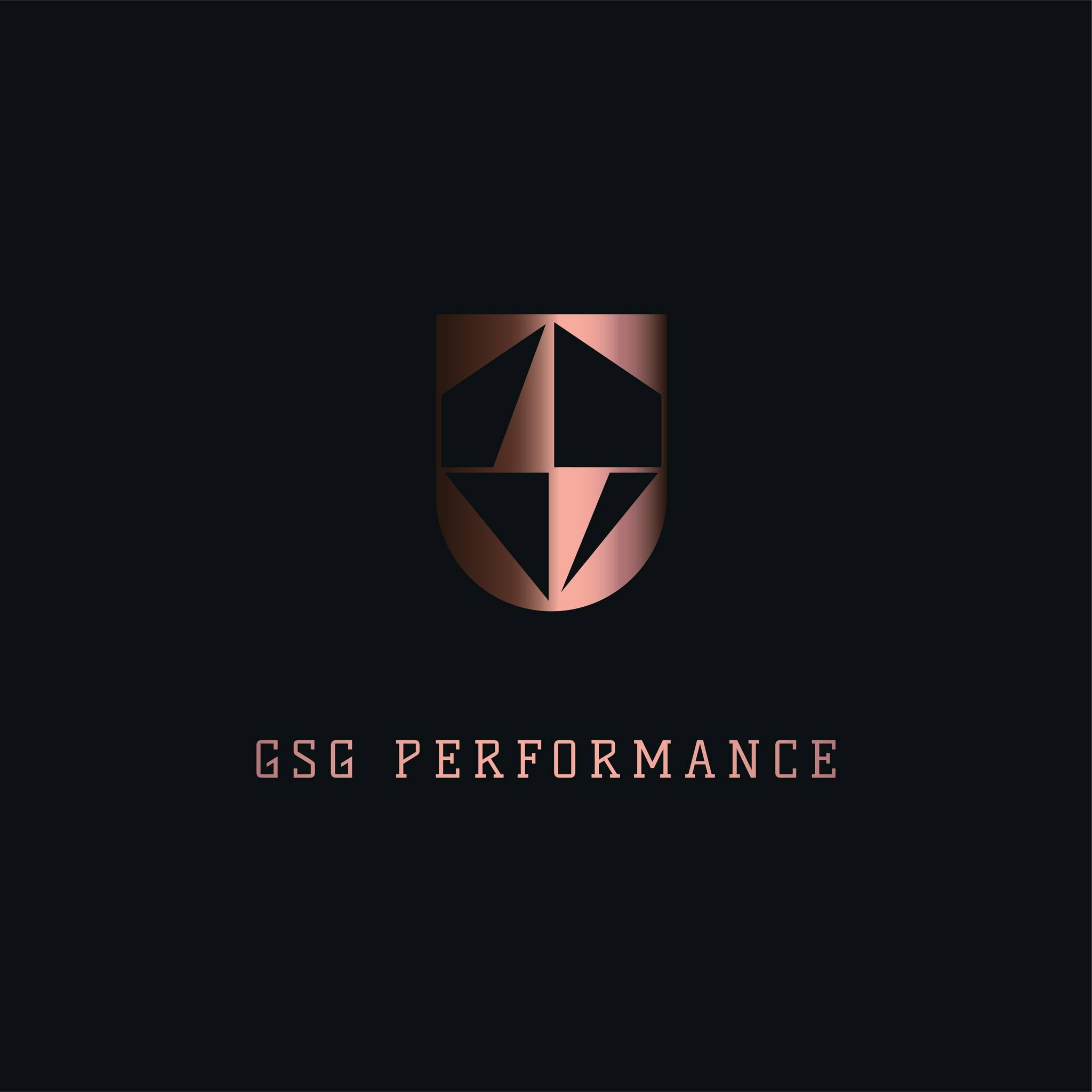 GSG-Performance