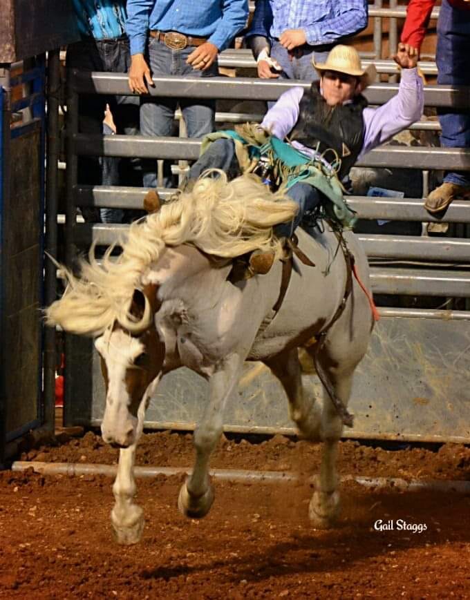 Rockin K Rodeo Productions - WOW WHAT A NIGHT!! I can't say how much it ...