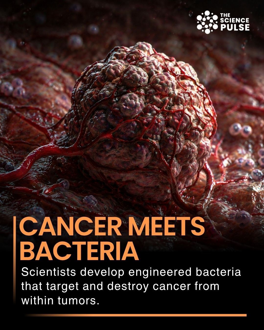 Recent advances in synthetic biology and cancer research have led