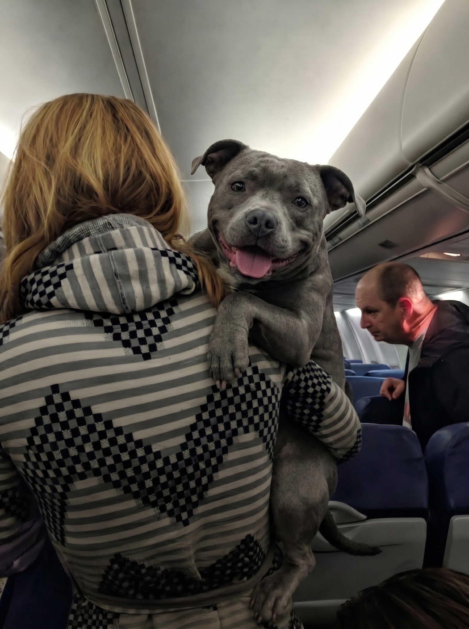Introduction of a dog lover and world traveler