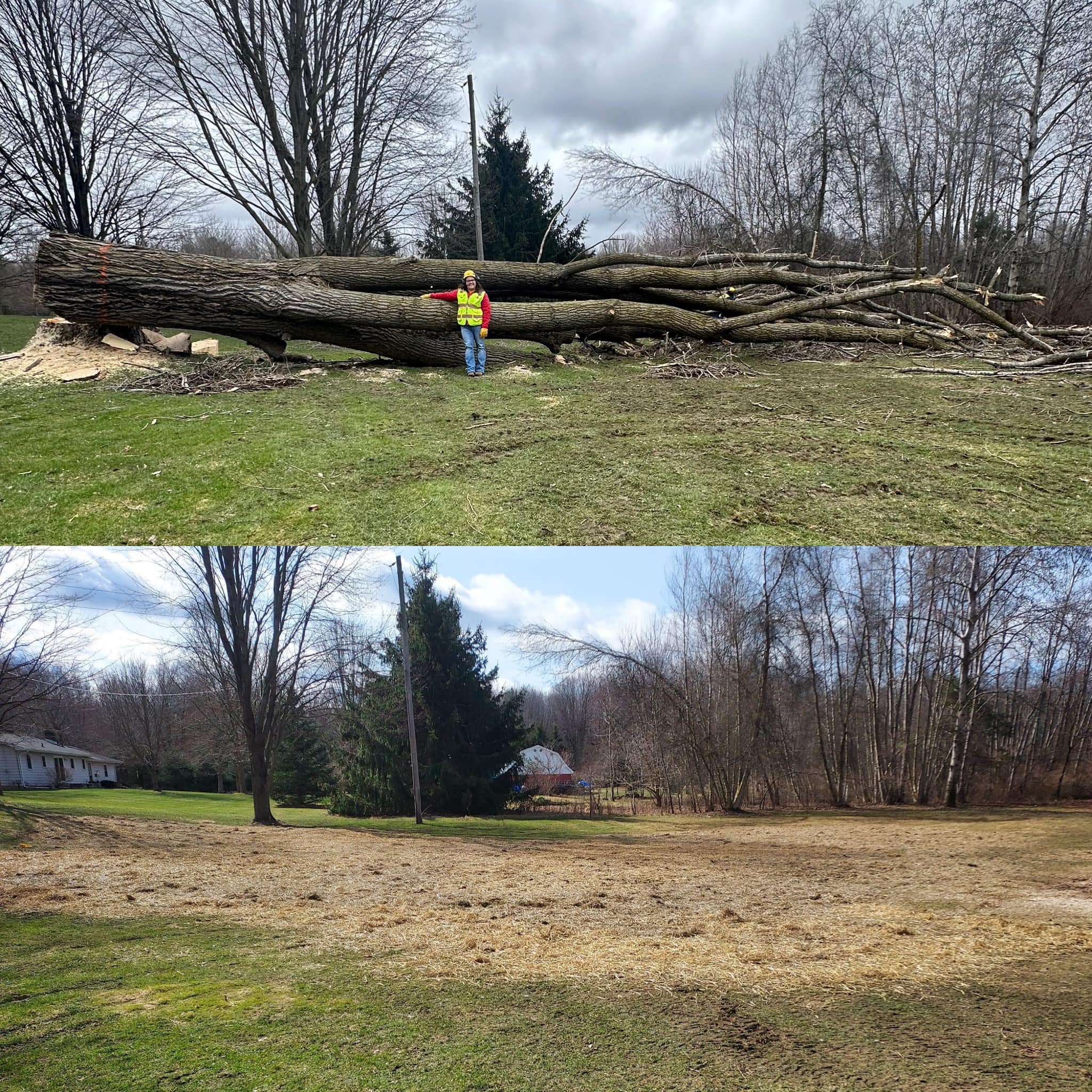 Always There Tree Care