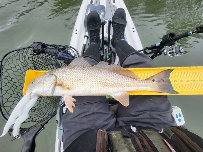 ed cummings antique fishing nets Red White & Blue Rubber Landing Net, Large Extra heavy 5/8 bow Accessories_Nets Rigging:Pro Fluorocarbon w/ Owner Jobu Hook Lowrance Eagle 5 Colour