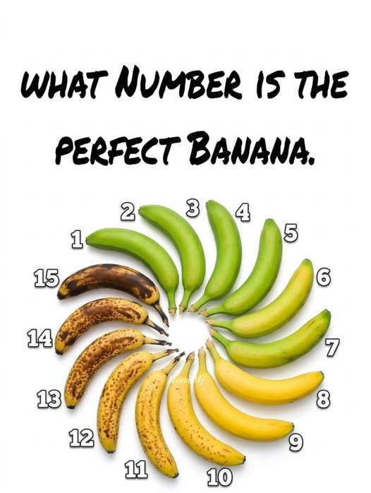 What are your favorite or significant numbers and their meanings?