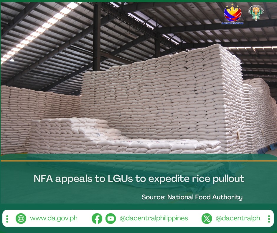 Nfa Pampanga