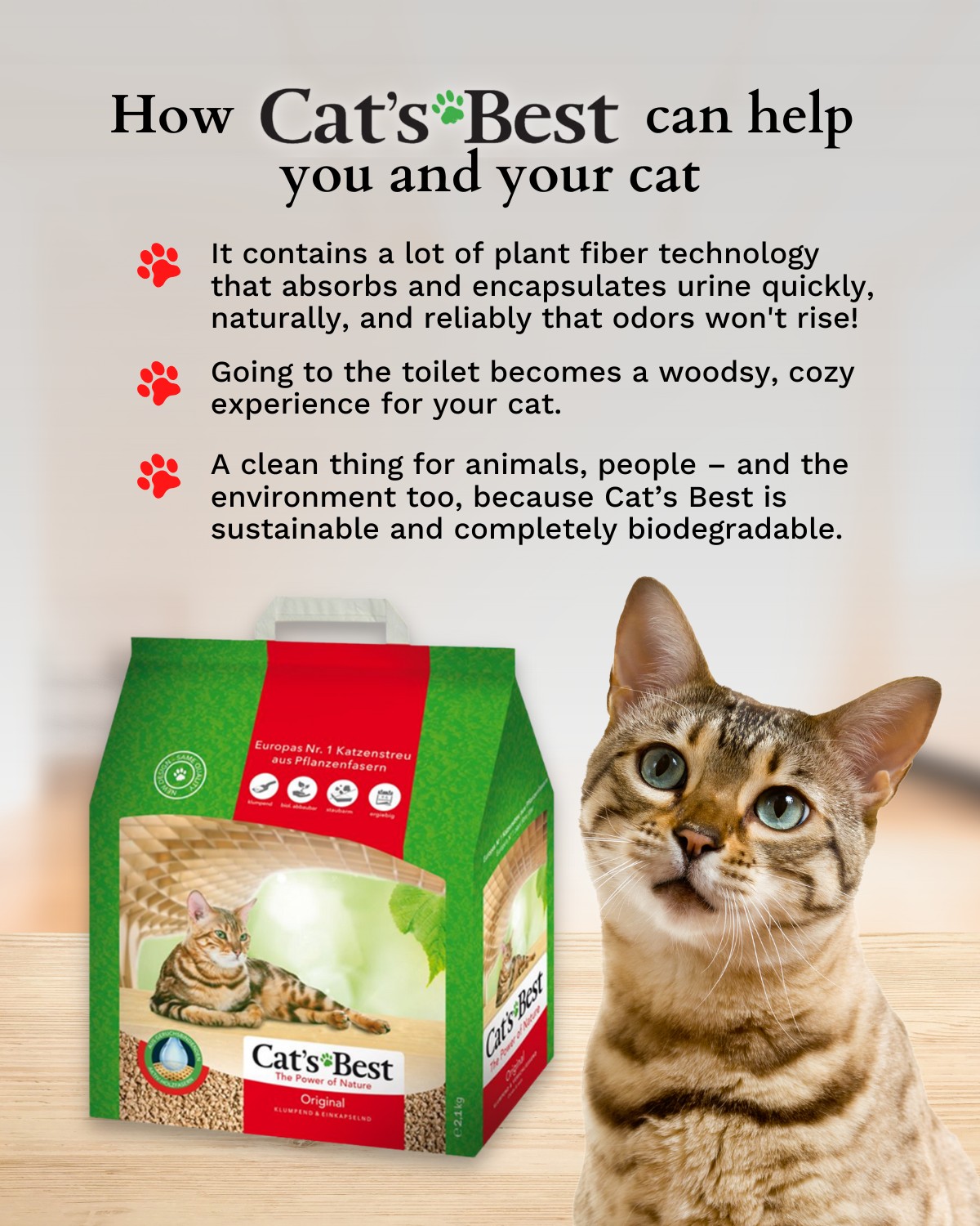 Photo inspiration: Cedar Wood Odor Absorbing Cat Litter Reference: Chipsi Embrace Eco Friendly Cleanliness With Cat S Best Litter