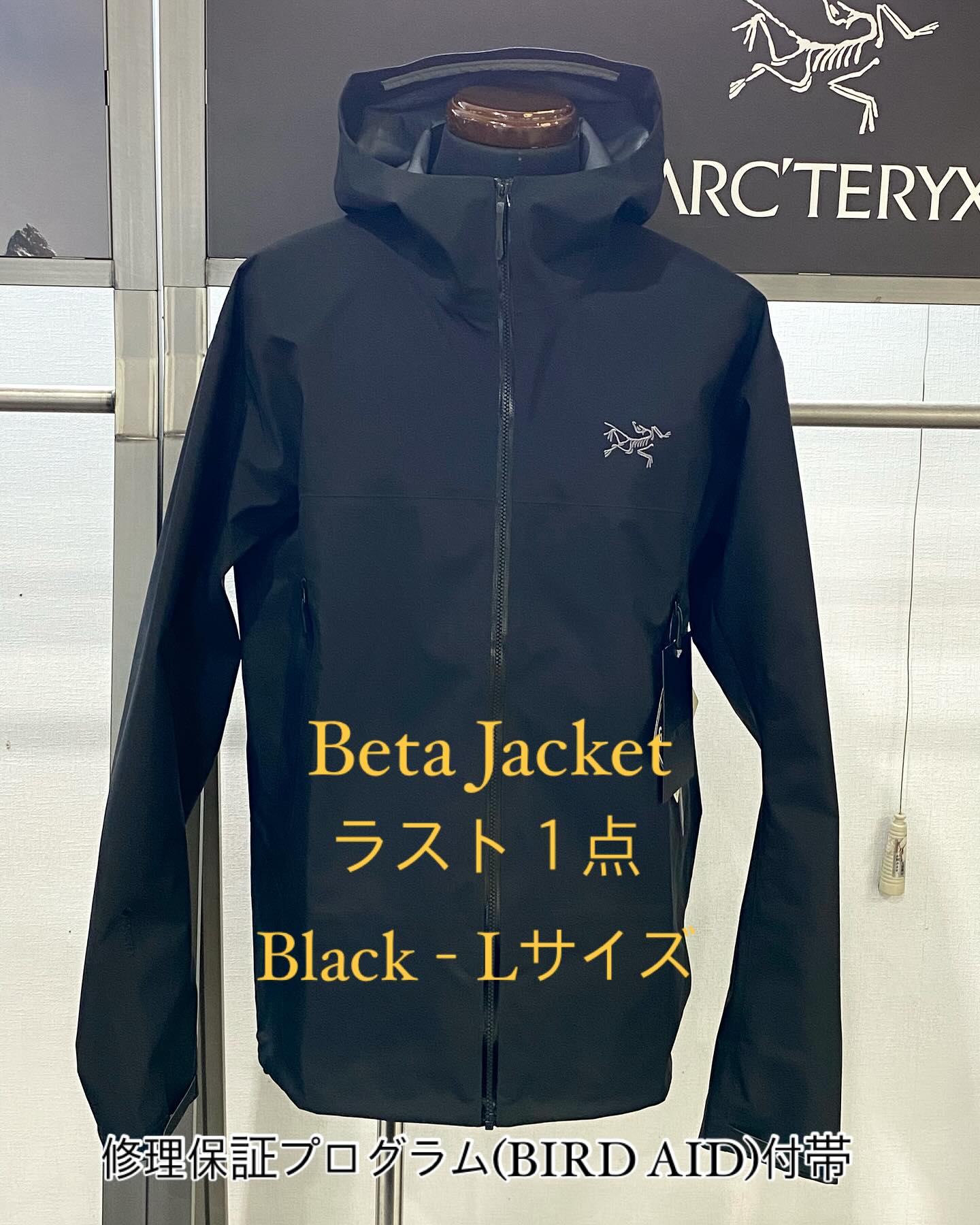 お盆あたりからアークテリクスのベータジャケットが一気に動き出し 