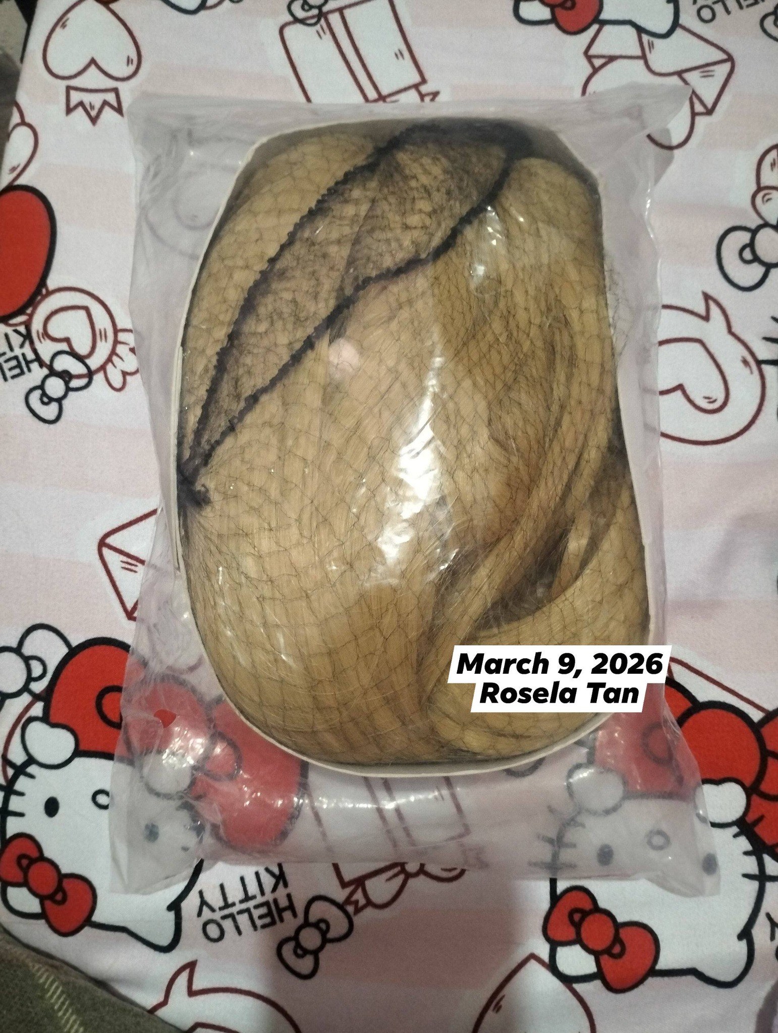 FS: Misa Amane Wig