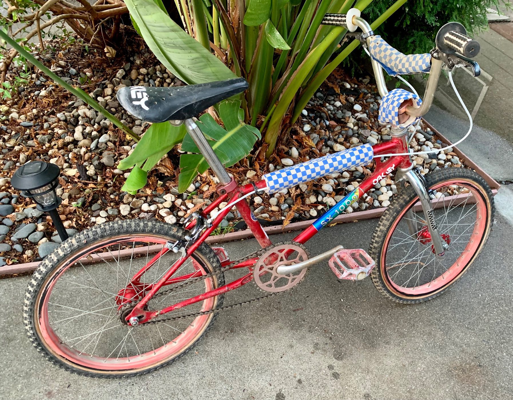 Schwinn sx1000 Competition Scambler silver mist with red trim