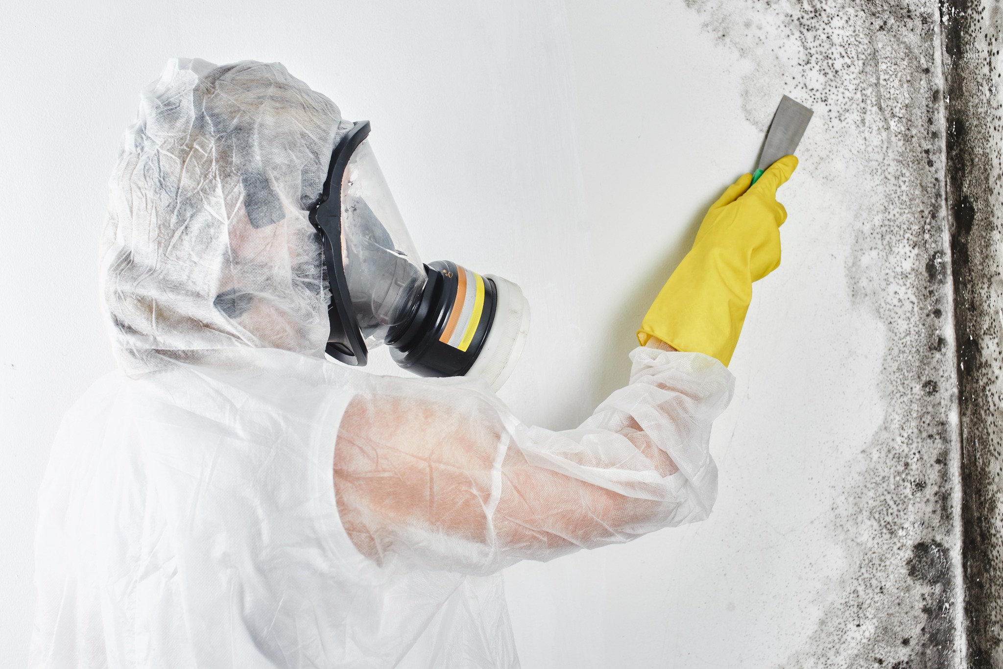 Arizona Indoor Air Quality & Environmental Testing | Mesa AZ