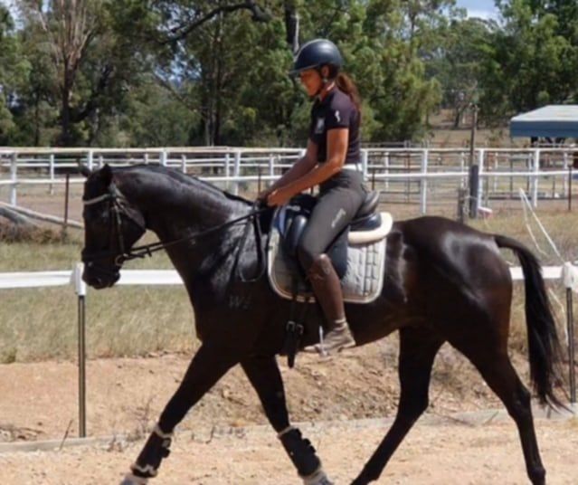 Sharp Performance Horses | Denman NSW