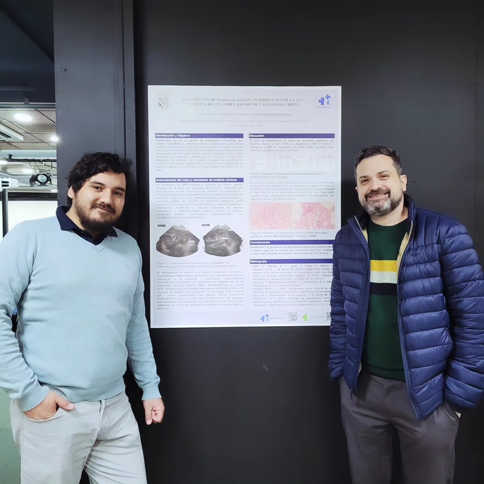PathosVet - Patología & Laboratorio Veterinario | San Felipe