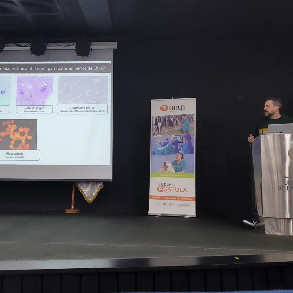 PathosVet - Patología & Laboratorio Veterinario | San Felipe