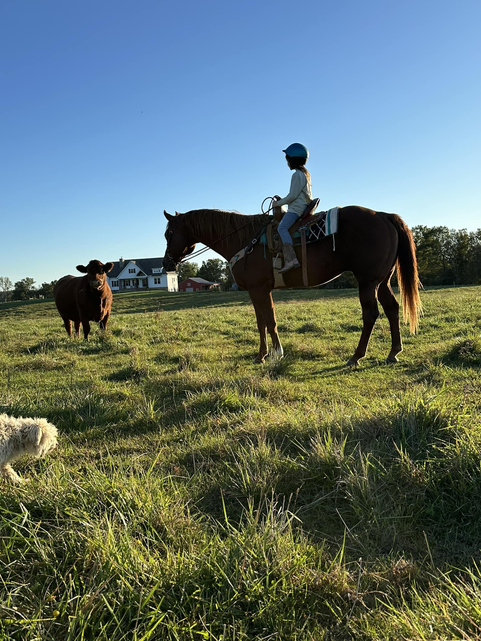 Red Ridge Farm