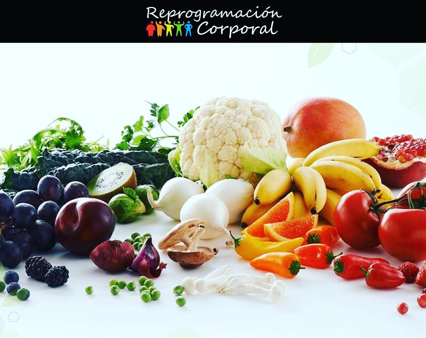 Las dietas son soluciones... - Reprogramacion Corporal