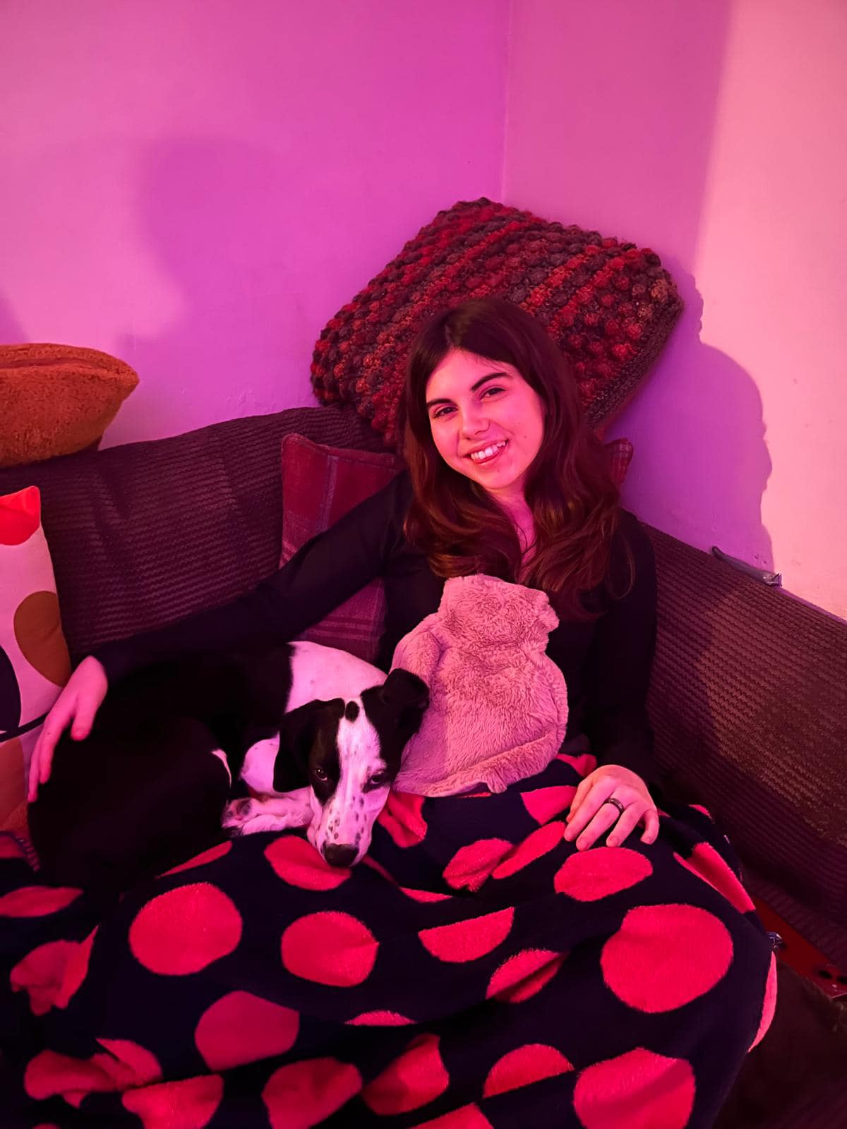 Ami’s Pet Rescue