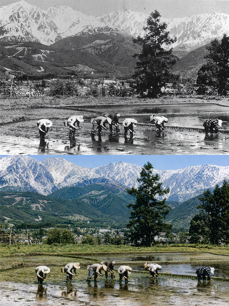 2026年は「白馬村政施行70周年」。1956年に「神城村」と「北城村」が