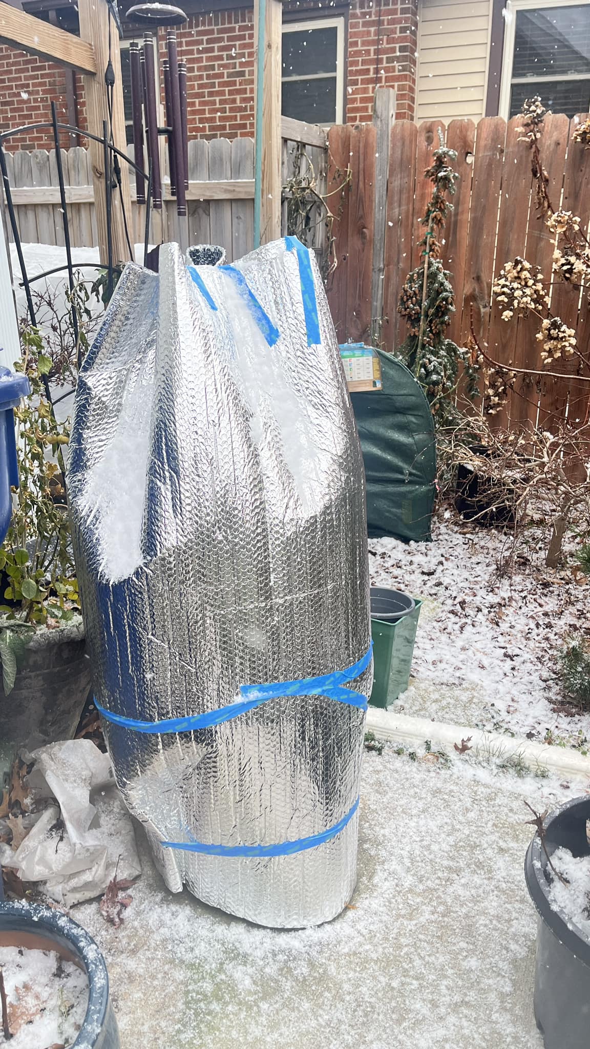 ☆Roses～断捨離中～ Roses in zone 6: winter protection methods needed