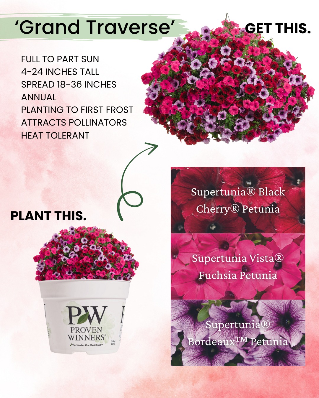 Preorder Proven Winners 6.5-inch garden combinations