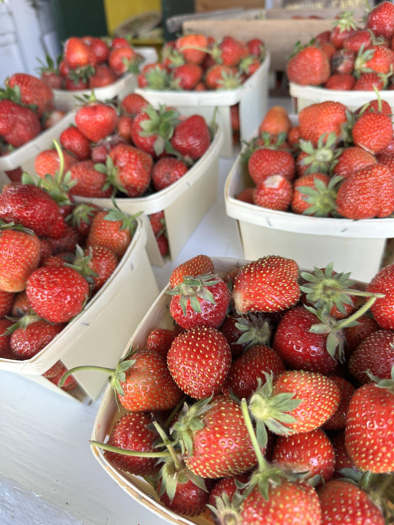 Creque's Greenhouse and Produce Stand | Sylvania OH