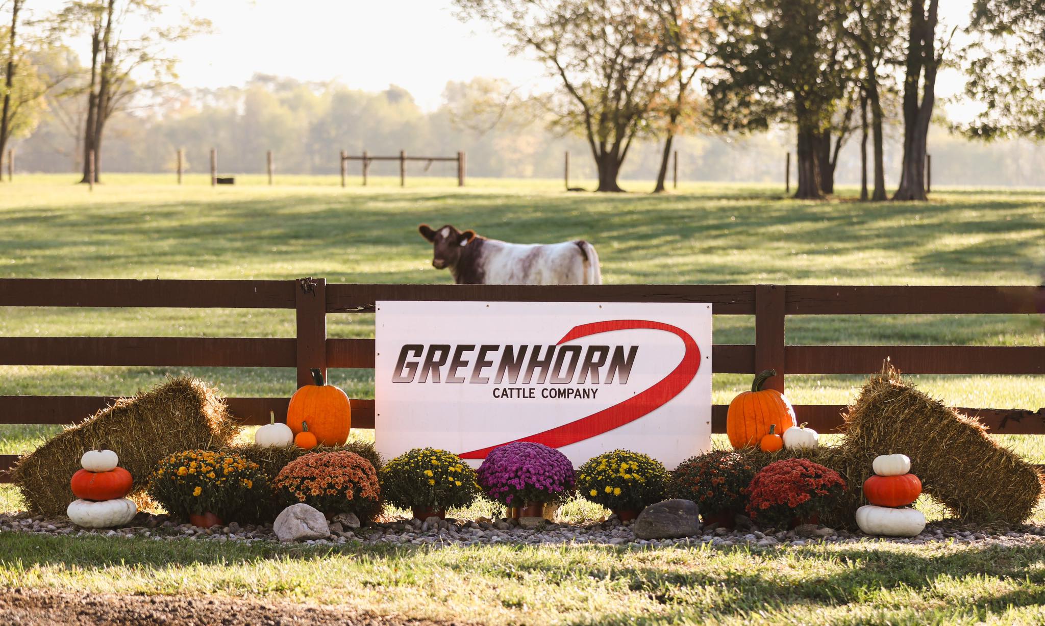 Greenhorn Cattle Co.