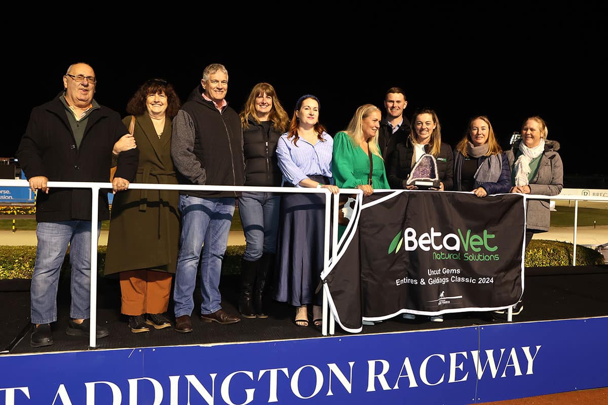 🏆 WHO’S DELIGHT & Gavin Smith... - Diamond Racing Stables | Facebook