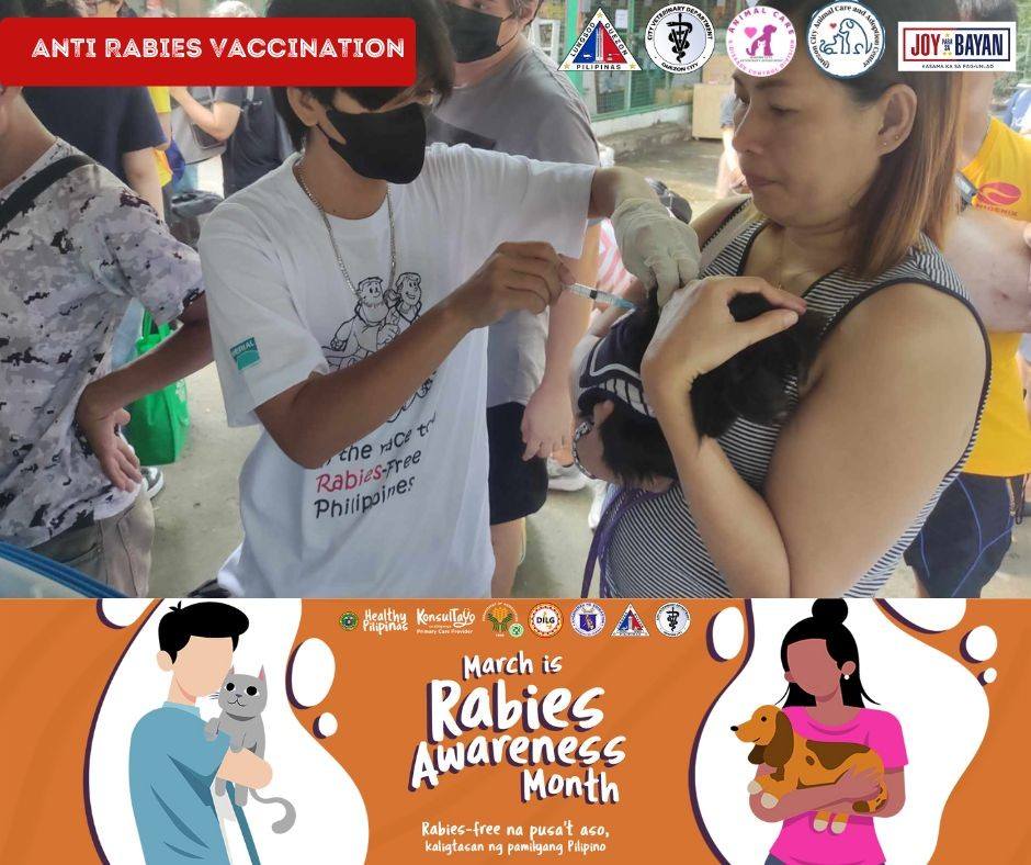 Quezon - Tuwing buwan ng Marso, ginugunita ang Rabies Awareness Month ...