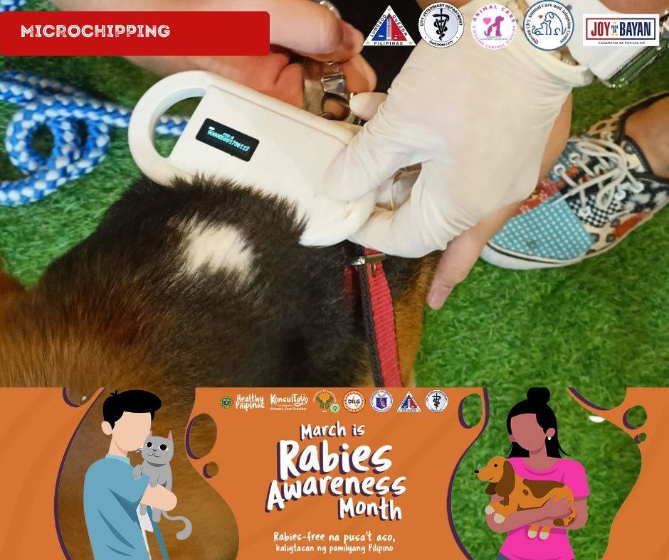 Quezon City Government - Tuwing buwan ng Marso, ginugunita ang Rabies ...