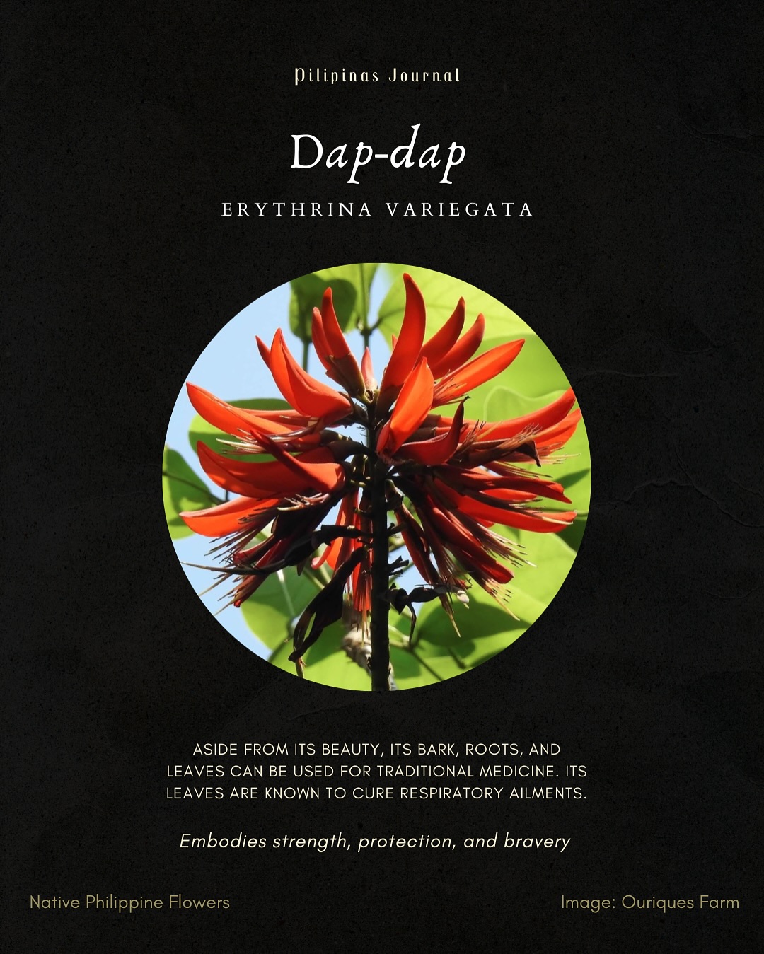 Landscape Architect JC | Antipolo