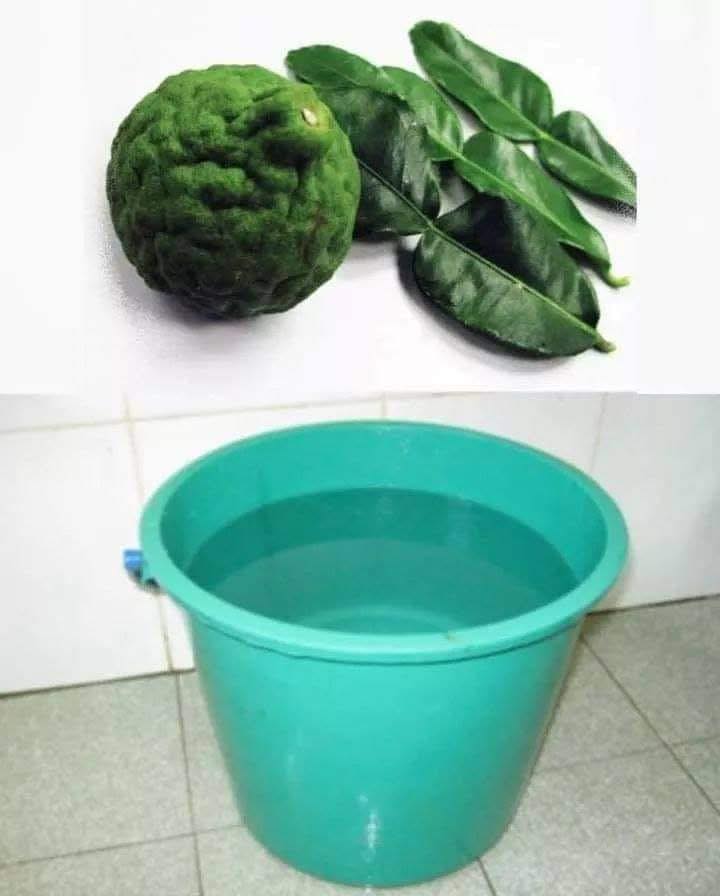 Nature - 