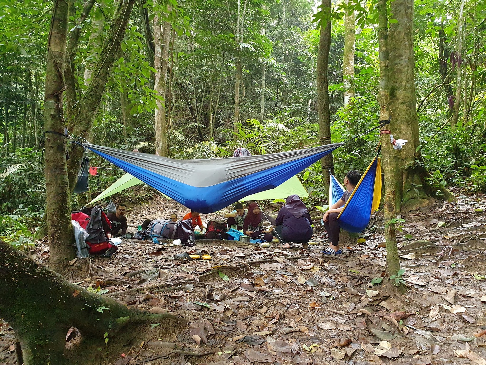 Pohon Teduh Selamat Hari Raya Aidiladha Muafakat Membawa Berkat Sepakat Menjadi Erat Manfaat Di Waktu Sihat Saat Bertemu Sahabat Facebook