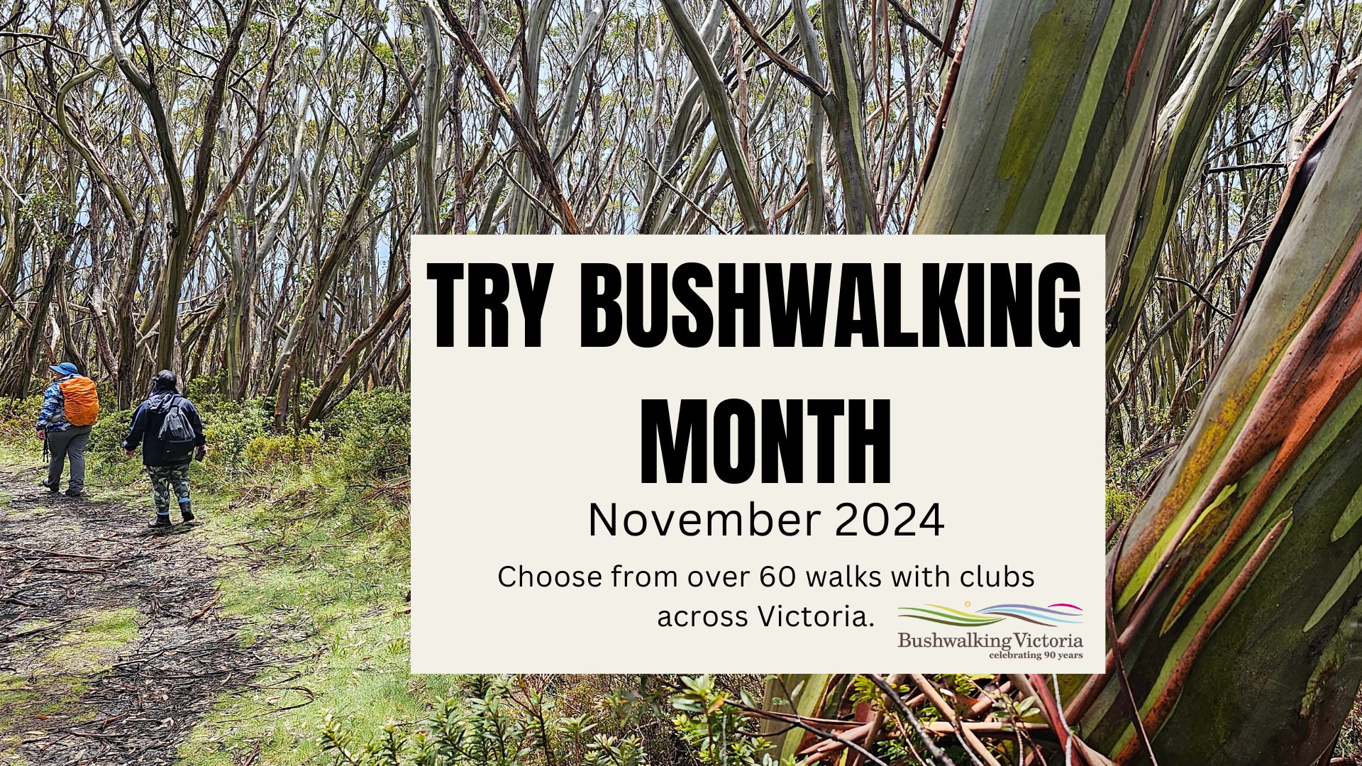 CAEX Bushwalking Club Public Page | Melbourne VIC