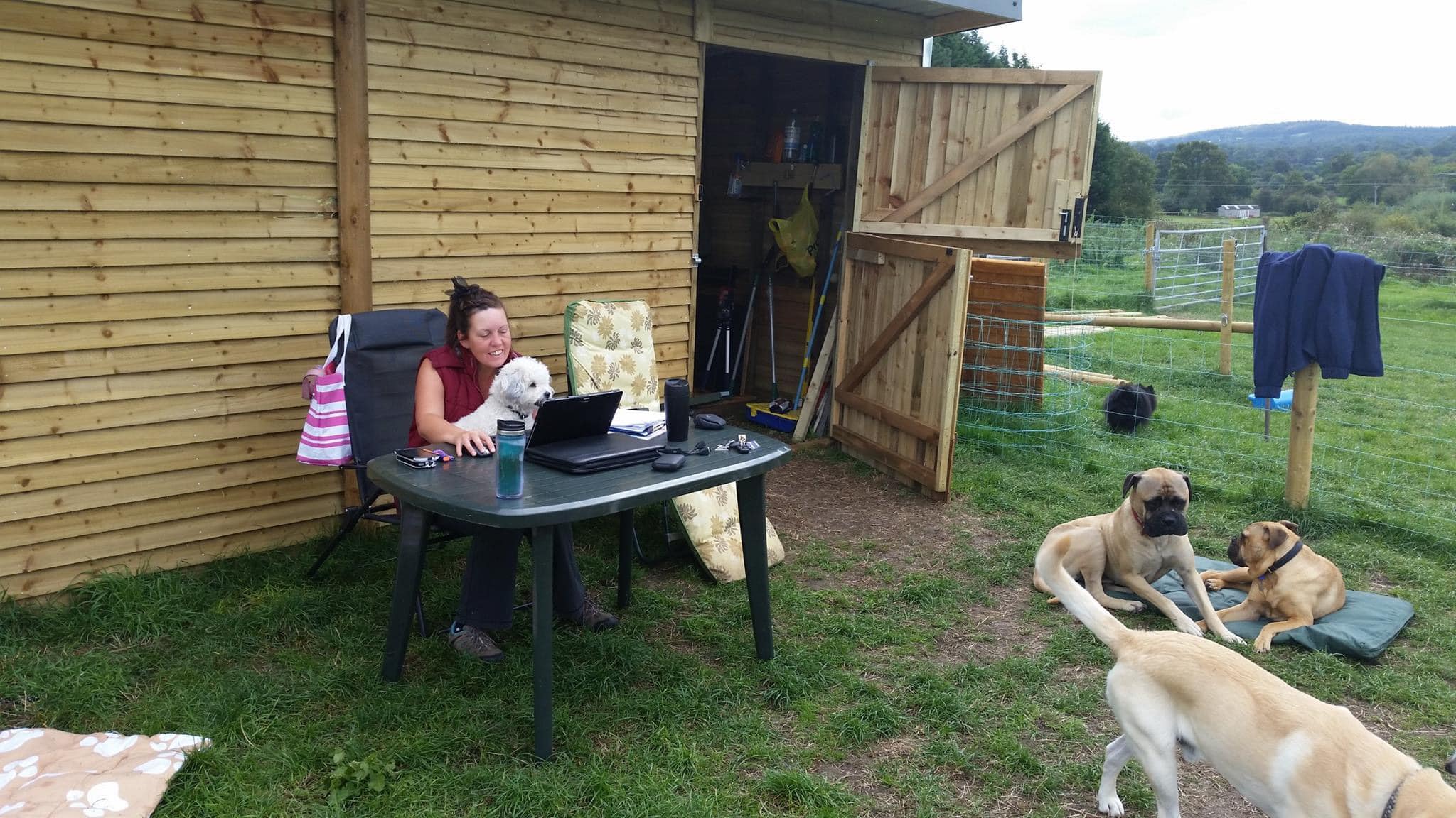 Michelle's Pet Services | Frome