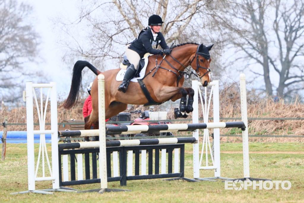 Yesterday we headed to... - Andrews Performance Horses | Facebook