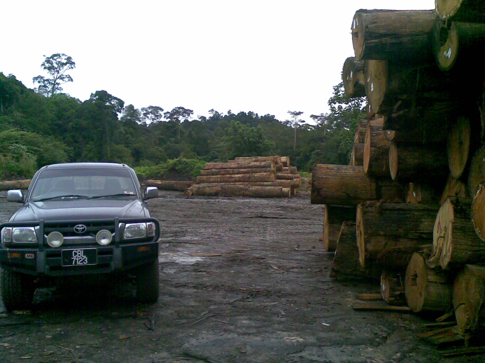APP Timber - Malaysia added a new... - APP Timber - Malaysia