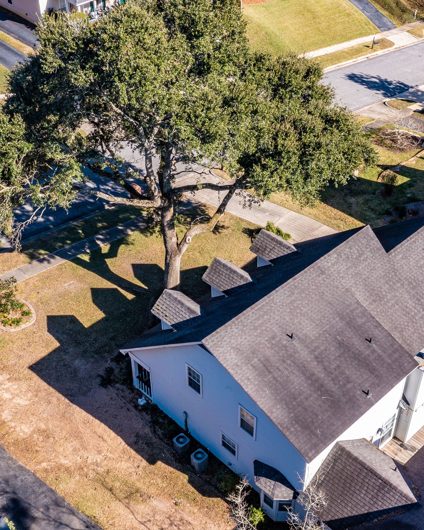 Here’s what our customers are... - Spotswood's Tree Service | Facebook