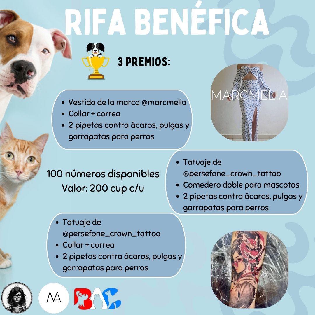 BAC-Habana - ‼️ Atención queridos BACanos 🥳 Nos hemos unido con la ...