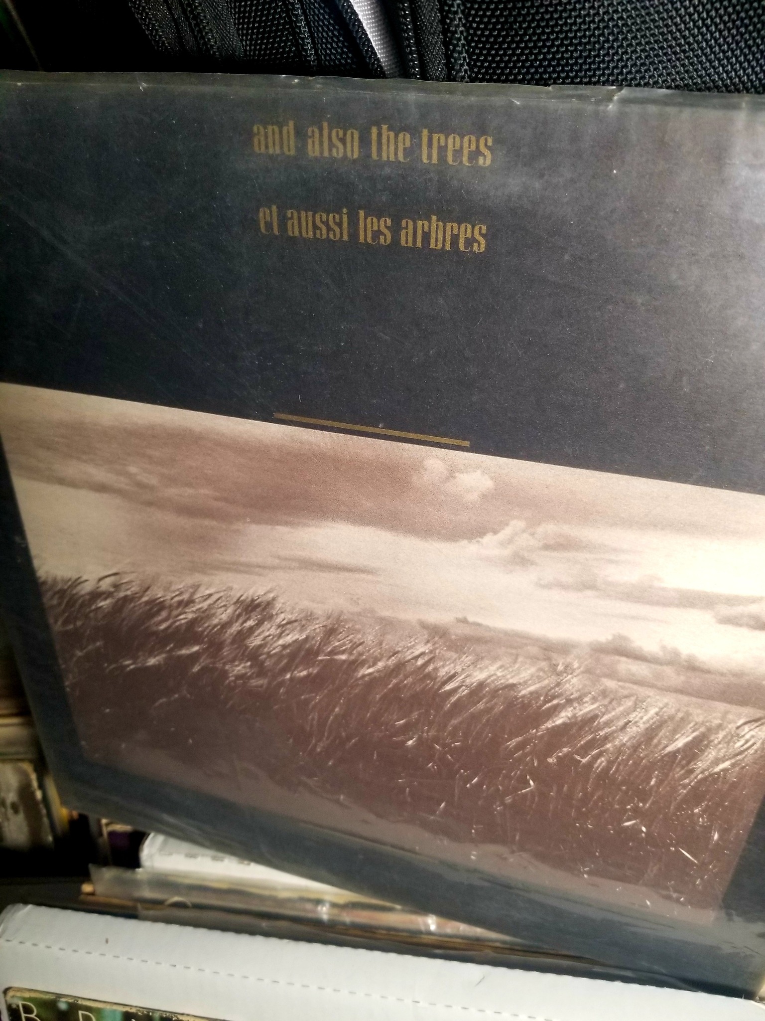 And Also The Trees - The Klaxon CD $120 Germany 1993