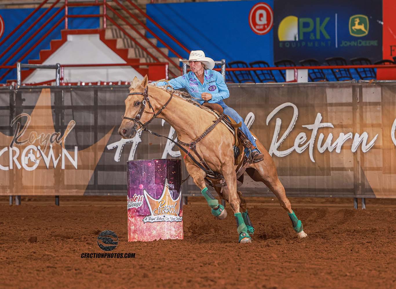 Sharp Performance Horses