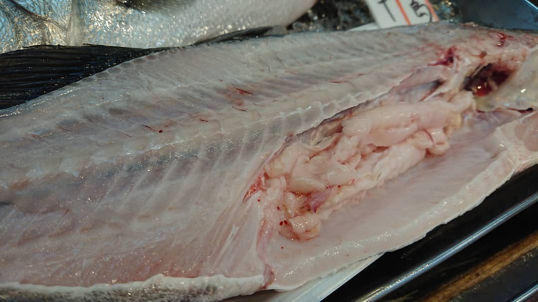 魚佳水産 五島列島 ヒラスズキ 腹周りの内臓脂肪がエラいことに Facebook