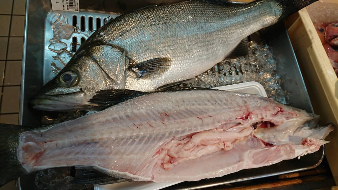 魚佳水産 五島列島 ヒラスズキ 腹周りの内臓脂肪がエラいことに Facebook