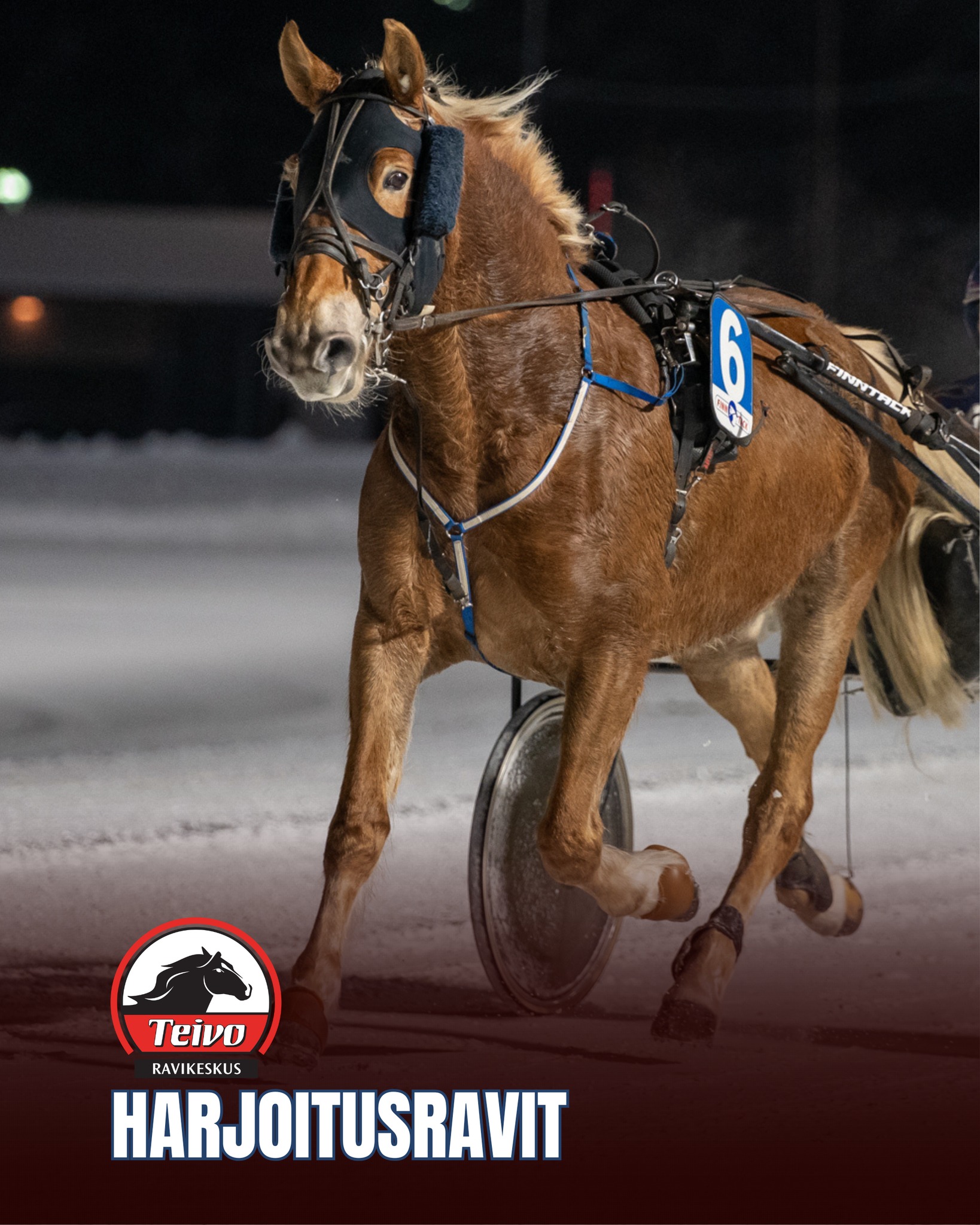 Teivon - Lauantaina 22.3. klo 11 Teivossa ravataan harjoitusravit! 🐴 ...