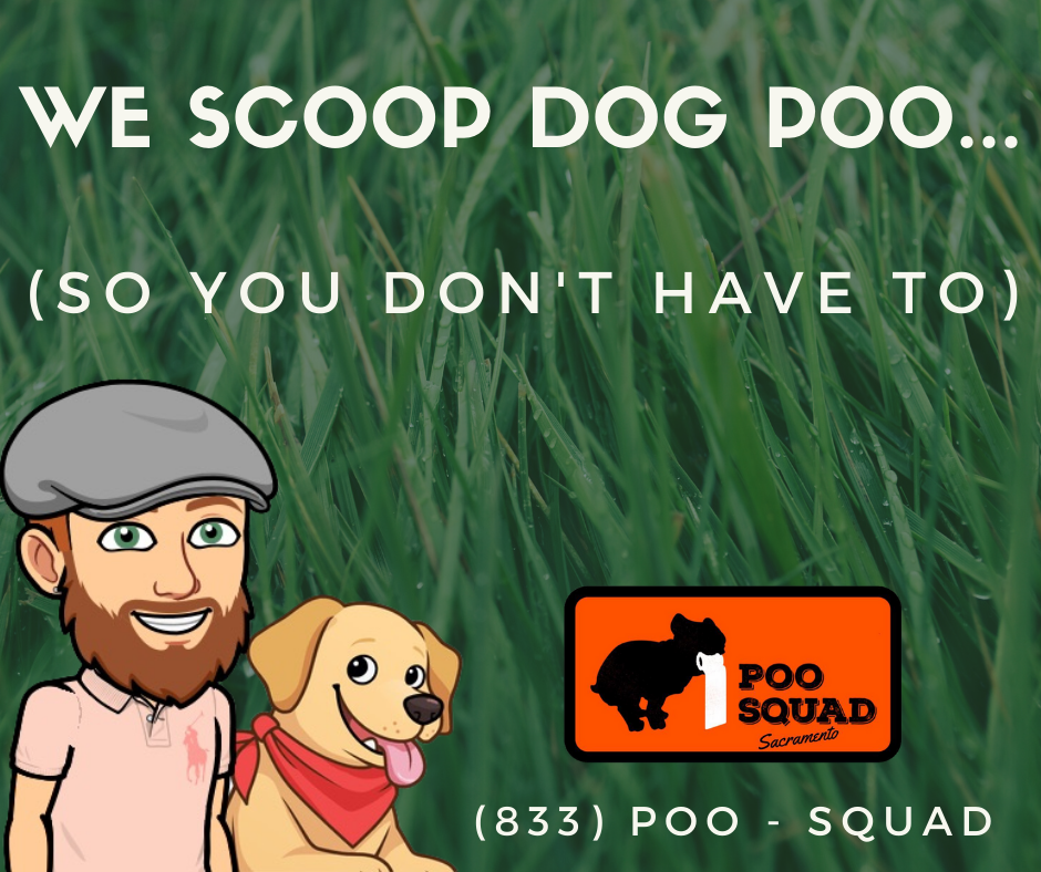 Poo Squad - Sacramento